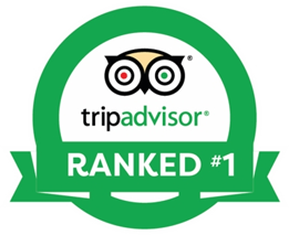 TripAdvisor Ranked - Lauer House recommended restaurant
