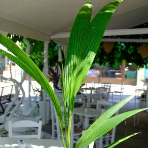 Lauer House Restaurant - Gallery image