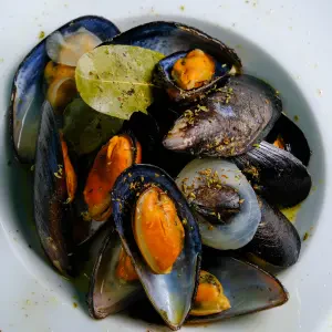 Lauer House Restaurant - Gallery image