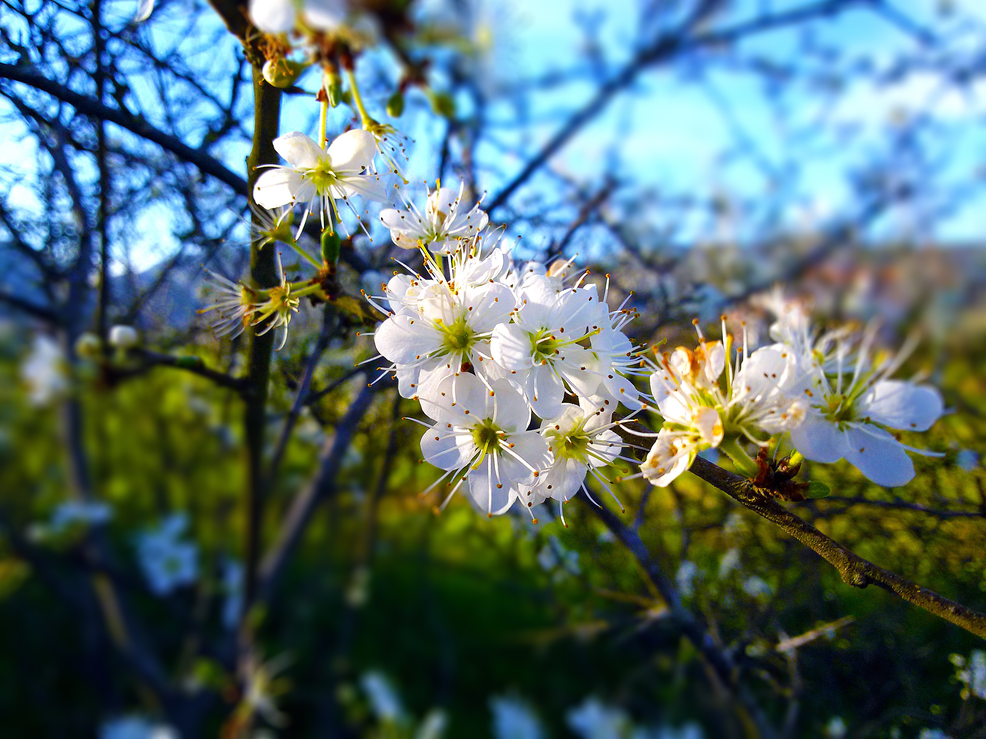 Halkidiki in Spring and Autumn: The Shoulder Season Guide