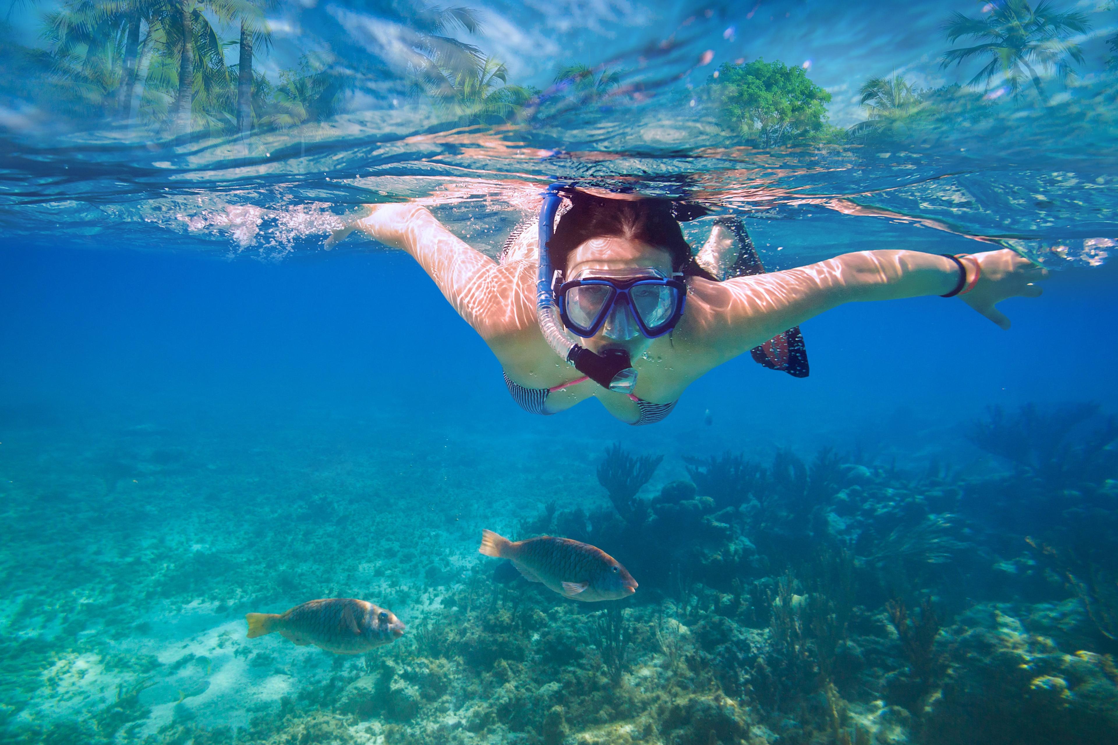 Schnorcheln und Tauchen in Sithonia: Die besten klaren Wasserstellen